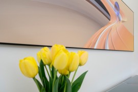 Tulpen, Bild und USM