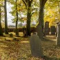 kleiner jüdischer Friedhof im Oderbruch